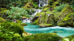 Wasserfall und Wasserlauf