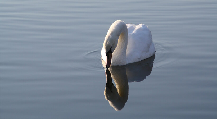 Dein Lebensraum – Spiegelbild Deines Lebens